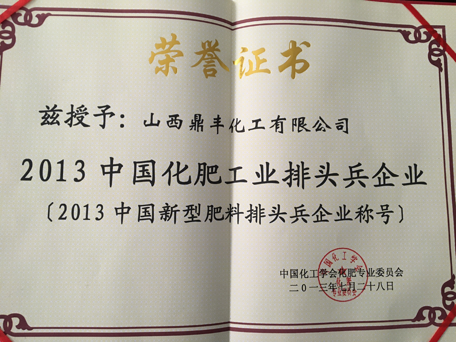 2013中国化肥工业排头兵企业